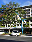 IMGP9378.jpg