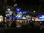 IMGP9384.jpg
