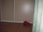 IMGP9392.jpg