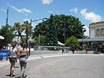 IMGP9433.jpg