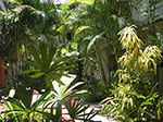 IMGP9439.jpg