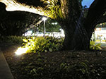 IMGP9563.jpg