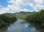 IMGP9575.jpg