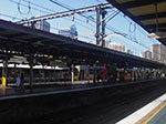 IMGP9591.jpg