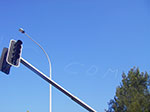 IMGP9596.jpg
