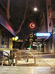 IMGP9599.jpg