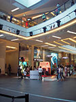 IMGP9636.jpg