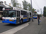 IMGP9641.jpg