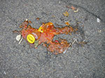 IMGP9642.jpg