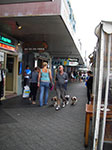IMGP9683.jpg