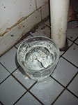IMGP9697.jpg