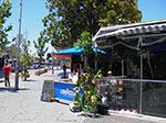 IMGP9705.jpg