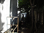 IMGP9712.jpg