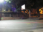 IMGP9735.jpg