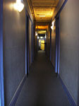 IMGP9752.jpg