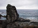 IMGP9775.jpg