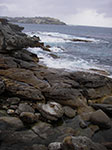 IMGP9776.jpg
