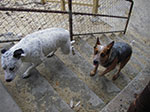 IMGP9831.jpg