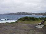 IMGP9833.jpg