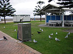 IMGP9844.jpg