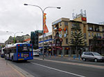 IMGP9845.jpg