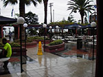 IMGP9846.jpg