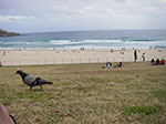 IMGP9863.jpg