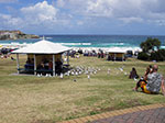 _IMGP9870.jpg