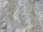 _IMGP9874.jpg