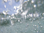 _IMGP9942.jpg