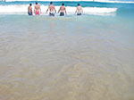 IMGP0029.jpg