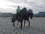 IMGP0049.jpg