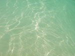 IMGP0057.jpg
