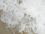 IMGP0080.jpg