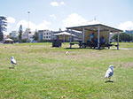 IMGP0081.jpg