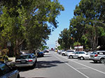 IMGP0238.jpg