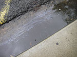IMGP0263.jpg