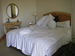 IMGP0365.jpg