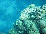 IMGP0439.jpg