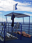 IMGP0463.jpg