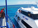 IMGP0469.jpg