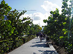 IMGP0539.jpg