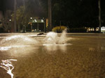 IMGP0602.jpg