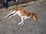 IMGP0684.jpg