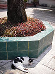 IMGP0691.jpg