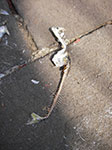 IMGP0693.jpg