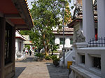 IMGP0696.jpg