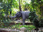 IMGP0705.jpg