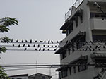 IMGP0712.jpg