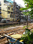 IMGP0715.jpg